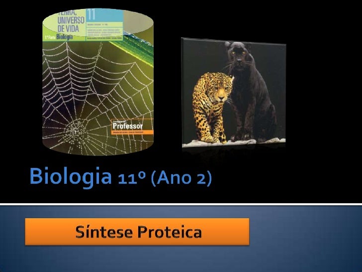 sintese de proteinas ppt Rna e síntese proteínas. Ppt modo de compatibilidade.