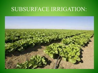 SUBSURFACE IRRIGATION:
 