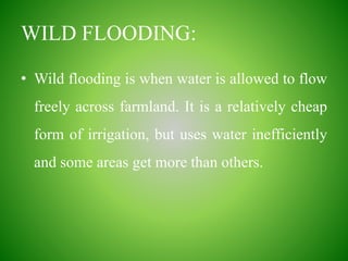 WILD FLOODING:
• Wild flooding is when water is allowed to flow
freely across farmland. It is a relatively cheap
form of irrigation, but uses water inefficiently
and some areas get more than others.
 