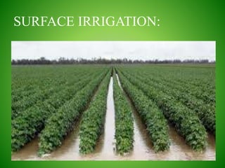 SURFACE IRRIGATION:
 