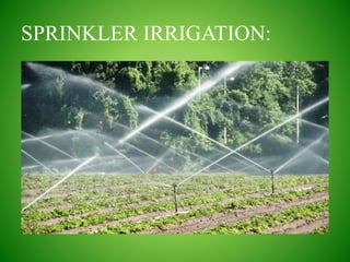 SPRINKLER IRRIGATION:
 
