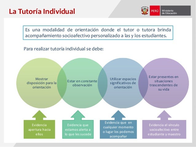 Tutoría Individual y características