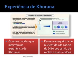    Quais os codões que               Escreva a sequência de
    intervêm na                        nucleótidos da cadeia
    experiência de                     de DNA que serviu de
    Khorana?                           molde a esses codões.
              Nuno Correia 09/10
 
