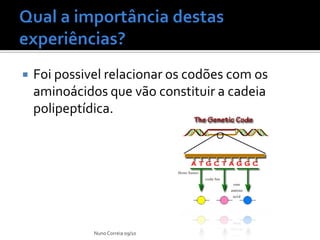    Foi possivel relacionar os codões com os
    aminoácidos que vão constituir a cadeia
    polipeptídica.




              Nuno Correia 09/10
 