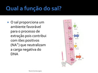   O sal proporciona um
    ambiente favorável
    para o processo de
    extração pois contribui
    com iões positivos
    (NA+) que neutralizam
    a carga negativa do
    DNA



               Nuno Correia 09/10
 