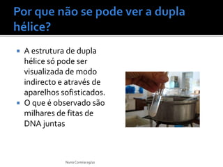 A estrutura de dupla
  hélice só pode ser
  visualizada de modo
  indirecto e através de
  aparelhos sofisticados.
 O que é observado são
  milhares de fitas de
  DNA juntas



             Nuno Correia 09/10
 
