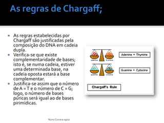  As regras estabelecidas por
  Chargaff são justificadas pela
  composição do DNA em cadeia
  dupla.
 Verifica-se que existe
  complementaridade de bases;
  isto é, se numa cadeia, estiver
  uma determinada base, na
  cadeia oposta estará a base
  complementar.
 Justifica-se assim que o número
  de A = T e o número de C = G;
  logo, o número de bases
  púricas será igual ao de bases
  pirimídicas.


                  Nuno Correia 09/10
 