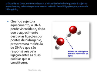    Quando sujeito a
    aquecimento, o DNA
    perde viscosidade, dado
    que o aquecimento
    destrói as ligações por
    pontes de hidrogénio,
    presentes na molécula
    de DNA e que são
    responsáveis pela
    ligação entre as duas
    cadeias que o
    constituem.
               Nuno Correia 09/10
 