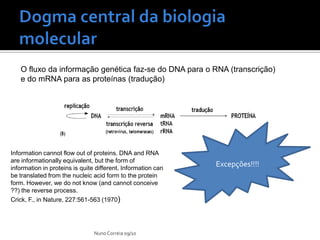 O fluxo da informação genética faz-se do DNA para o RNA (transcrição)
   e do mRNA para as proteínas (tradução)




Information cannot flow out of proteins. DNA and RNA
are informationally equivalent, but the form of
information in proteins is quite different. Information can
                                                              Excepções!!!!
be translated from the nucleic acid form to the protein
form. However, we do not know (and cannot conceive
??) the reverse process.
Crick, F., in Nature, 227:561-563 (1970)




                                Nuno Correia 09/10
 