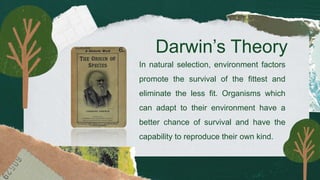 Darwin’s Theory
In natural selection, environment factors
promote the survival of the fittest and
eliminate the less fit. Organisms which
can adapt to their environment have a
better chance of survival and have the
capability to reproduce their own kind.
 