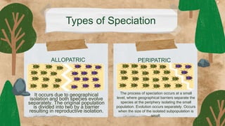 Types of Speciation
It occurs due to geographical
isolation and both species evolve
separately. The original population
is divided into two by a barrier
resulting in reproductive isolation.
ALLOPATRIC PERIPATRIC
The process of speciation occurs at a small
level, where geographical barriers separate the
species at the periphery isolating the small
population. Evolution occurs separately. Occurs
when the size of the isolated subpopulation is
small.
 