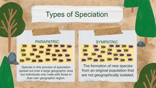 Types of Speciation
Species in this process of speciation
spread out over a large geographic area
but individuals only mate with those in
their own geographic region.
PARAPATRIC SYMPATRIC
The formation of new species
from an original population that
are not geographically isolated.
 