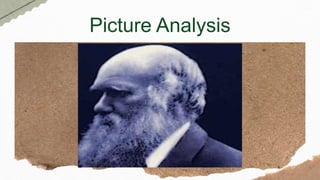 Picture Analysis
 