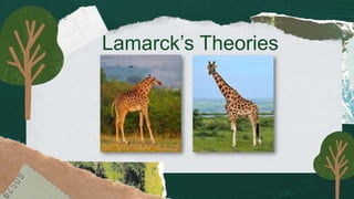 Lamarck’s Theories
 