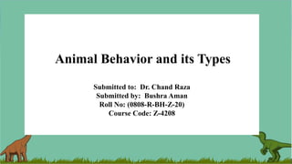 Animal Behavior and its Types
Submitted to: Dr. Chand Raza
Submitted by: Bushra Aman
Roll No: (0808-R-BH-Z-20)
Course Code: Z-4208
 