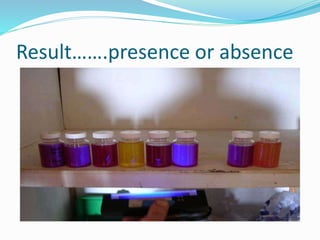 Result…….presence or absence
 