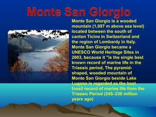 Monte San Giorgio is a wooded
mountain (1,097 m above sea level)
located between the south of
canton Ticino in Switzerland and
the region of Lombardy in Italy.
Monte San Giorgio became a
UNESCO World Heritage Sites in
2003, because it "is the single best
known record of marine life in the
Triassic period, The pyramid-
shaped, wooded mountain of
Monte San Giorgio beside Lake
Lugano is regarded as the best
fossil record of marine life from the
Triassic Period (245–230 million
years ago)
 