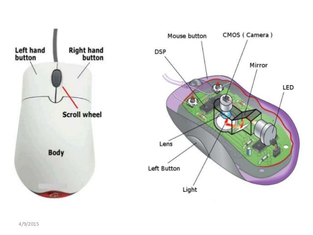 [DIAGRAM] Well Labelled Computer Mouse Diagram - MYDIAGRAM.ONLINE