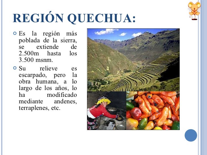 que significa puma en quechua que significa puma en quechua