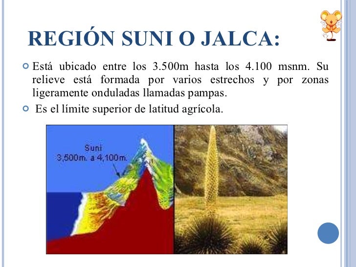 Ppt 8regiones Ppt 8regiones