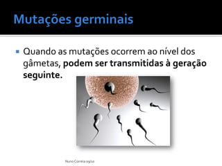    Quando as mutações ocorrem ao nível dos
    gâmetas, podem ser transmitidas à geração
    seguinte.




             Nuno Correia 09/10
 