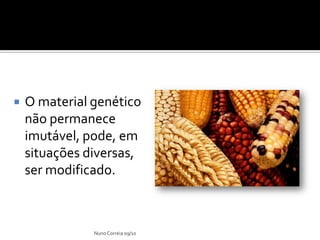    O material genético
    não permanece
    imutável, pode, em
    situações diversas,
    ser modificado.



               Nuno Correia 09/10
 