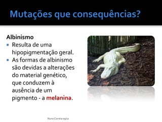 Albinismo
 Resulta de uma
  hipopigmentação geral.
 As formas de albinismo
  são devidas a alterações
  do material genético,
  que conduzem à
  ausência de um
  pigmento - a melanina.


               Nuno Correia 09/10
 