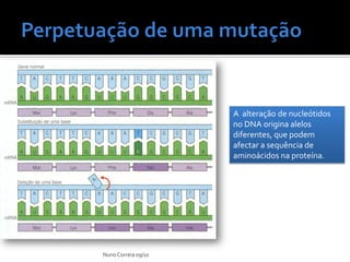 A alteração de nucleótidos
                     no DNA origina alelos
                     diferentes, que podem
                     afectar a sequência de
                     aminoácidos na proteína.




Nuno Correia 09/10
 