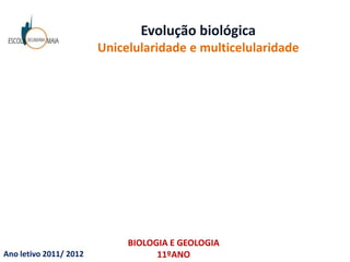 Evolução biológica
                        Unicelularidade e multicelularidade




                             BIOLOGIA E GEOLOGIA
Ano letivo 2011/ 2012              11ºANO
 