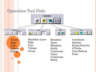 Operation Tool Pads Vertex Edge Face  Volume Group Boundary Layer Edge Face  Volume Group Boundary Types Boundary Entity Continuum Types Continuum Entity Coordinate Systems Sizing Function G/Turbo User-Defined Tools 