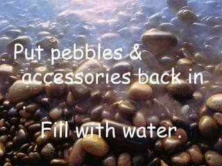 Put pebbles & accessories back in .Fill with water.