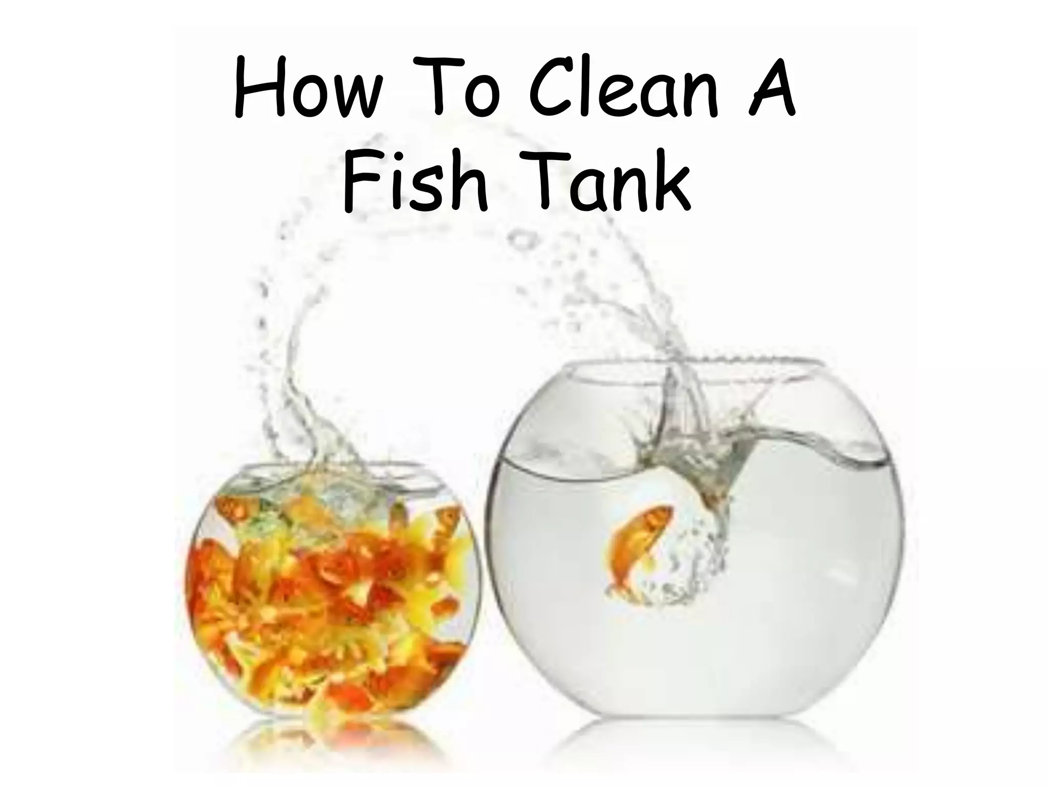 How To Clean A Fish Tank