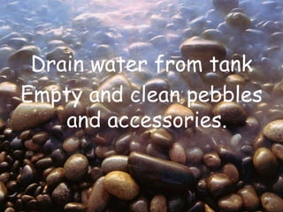Drain water from tankEmpty and clean pebbles and accessories.