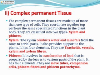 ii) Complex permanent Tissue
 The complex permanent tissues are made up of more
than one type of cells. They coordinate together top
perform the same specialized functions in the plant
body. They are classified into two types- Xylem and
phloem.
 Xylem: The xylem conducts water and minerals from the
roots to aerial parts. It also provides support to the
plants. It has four elements. They are Tracheids, vessels,
xylem and xylem fibres.
 Phloem: It involves in translocation of food that is
prepared by the leaves to various parts of the plant. It
has four elements. They are sieve tubes, companion
cells, phloem fibres and phloem parenchyma.
 