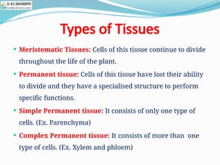 Types of Tissues
 Meristematic Tissues: Cells of this tissue continue to divide
throughout the life of the plant.
 Permanent tissue: Cells of this tissue have lost their ability
to divide and they have a specialised structure to perform
specific functions.
 Simple Permanent tissue: It consists of only one type of
cells. (Ex. Parenchyma)
 Complex Permanent tissue: It consists of more than one
type of cells. (Ex. Xylem and phloem)
 