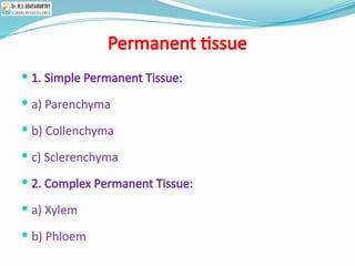Permanent tissue
 1. Simple Permanent Tissue:
 a) Parenchyma
 b) Collenchyma
 c) Sclerenchyma
 2. Complex Permanent Tissue:
 a) Xylem
 b) Phloem
 