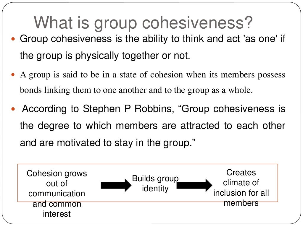 group cohesiveness