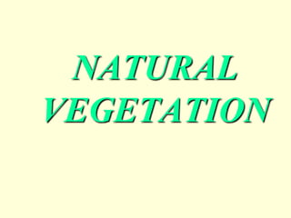 NATURAL
VEGETATION
 
