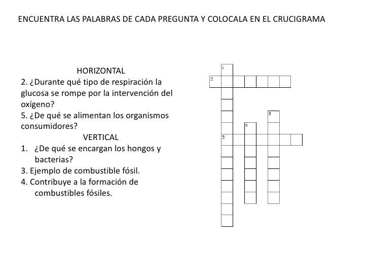 Pesquisa sobre genetica