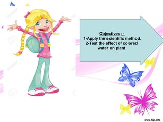 Objectives :-
1-Apply the scientific method.
2-Test the effect of colored
water on plant.
 
