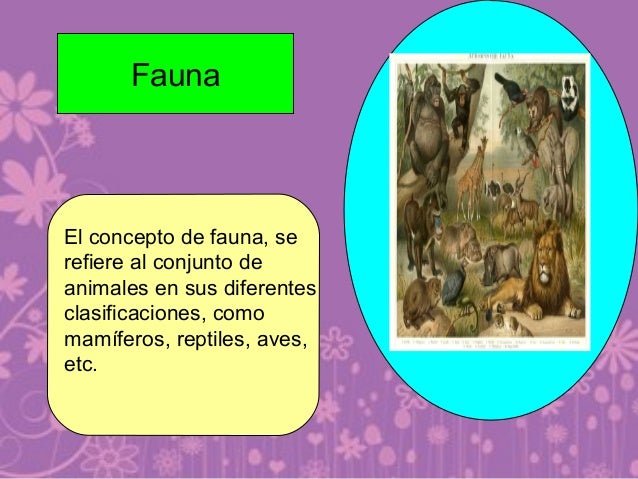 Ppt act. 1 flora, fauna y paisaje