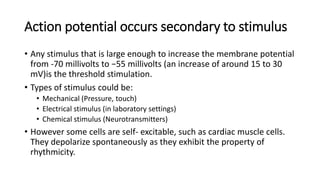 PPt action potential.pptx