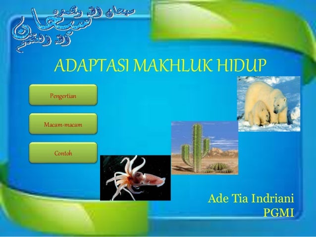 Adaptasi Makhluk Hidup