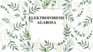 ELEKTROFORESIS
AGAROSA
 
