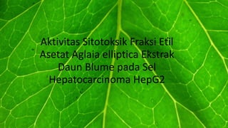 Aktivitas Sitotoksik Fraksi Etil
Asetat Aglaia elliptica Ekstrak
Daun Blume pada Sel
Hepatocarcinoma HepG2
 