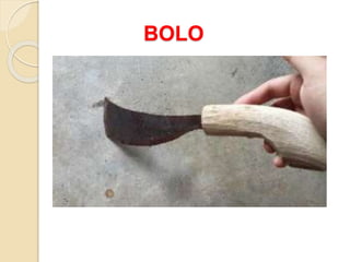 ppt_agri_lesson1f.pptx