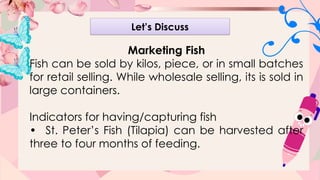 Effective Marketing and Harvesting Strategies for Farm Animals and Fish ...