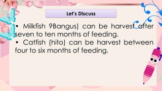 Effective Marketing and Harvesting Strategies for Farm Animals and Fish ...
