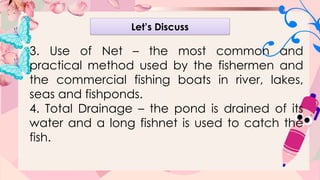 Effective Marketing and Harvesting Strategies for Farm Animals and Fish ...