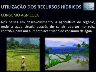 UTILIZAÇÃO DOS RECURSOS HÍDRICOS
CONSUMO AGRÍCOLA
Nos países em desenvolvimento, a agricultura de regadio,
onde a água circula através de canais abertos no solo,
contribui para um aumento acentuado do consumo de água.
 